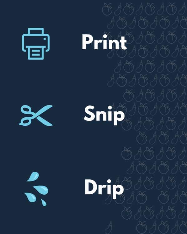 Phoreplay: An Adult Long Distance Card Game - Image 4
